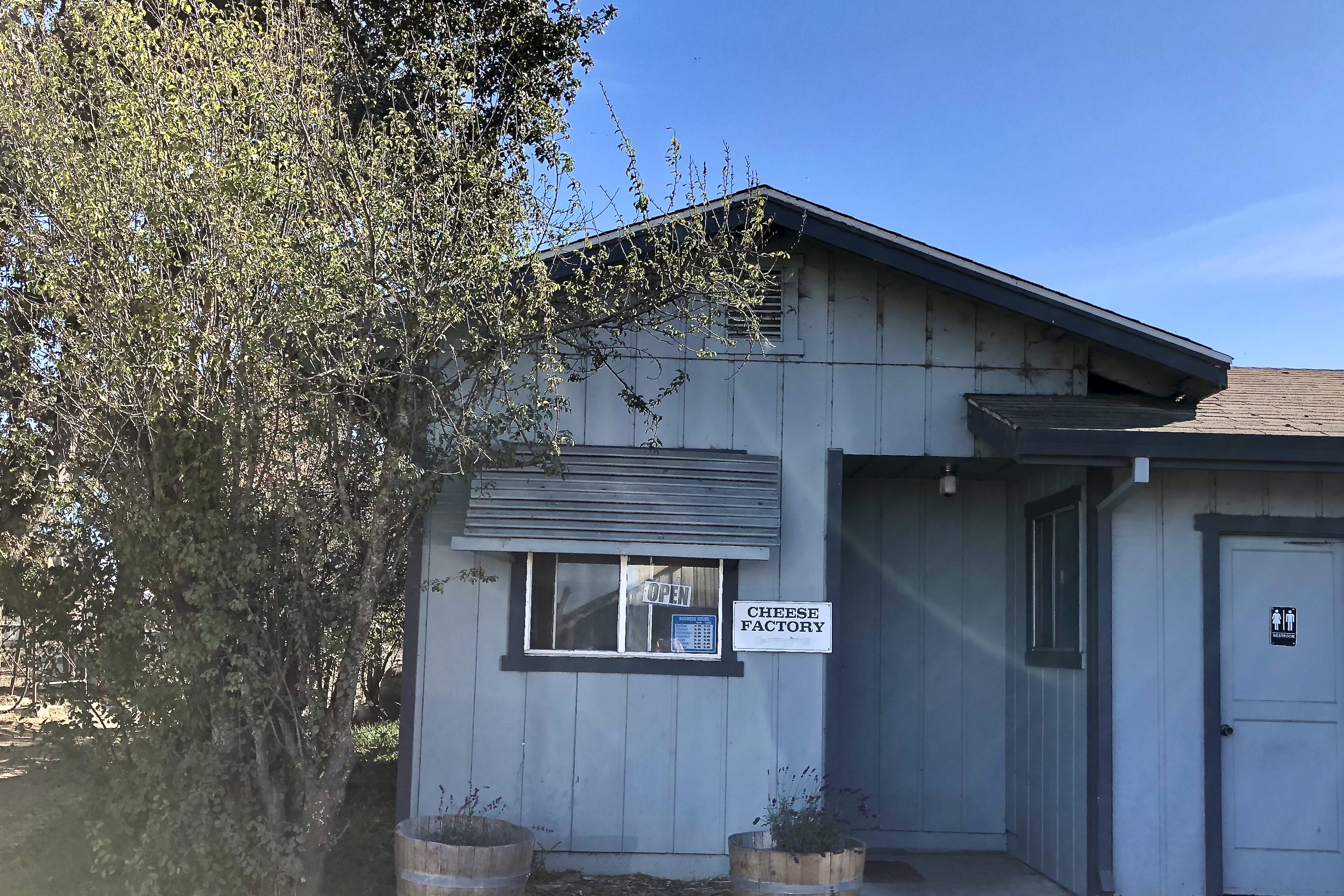 Throwback Thursday Cheese Factory in Santa Rosa!